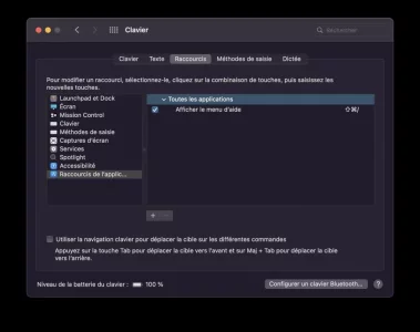 Capture-001.webp
