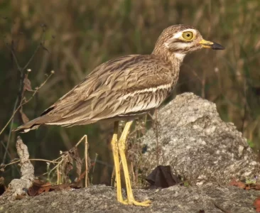 Capture d’écran 2021-12-18 à 14.49.31.webp