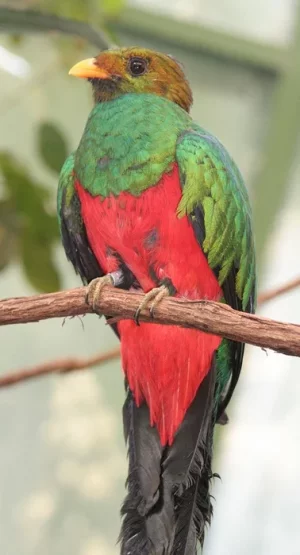 Capture d’écran 2021-12-18 à 16.46.49.webp