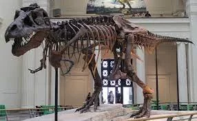 Unknown.webp