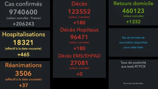 Sans titre-1 copie.jpg