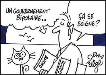 bipolaire copie.webp