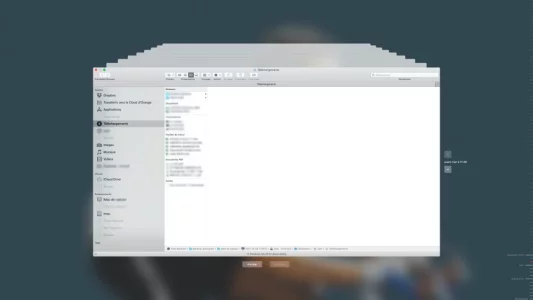 Capture d’écran 2021-12-31 à 17.31.00.jpg Capture d’écran 2021-12-31 à 17.31.00.jpg