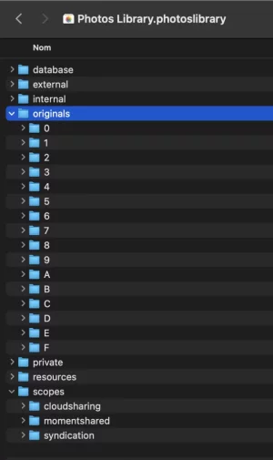 CleanShot 2022-01-04 at 15.30.19@2x.webp