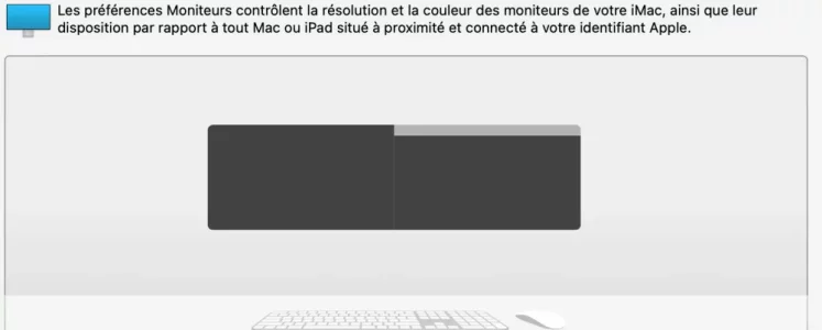 Capture d’écran 2022-01-09 à 17.31.09.webp