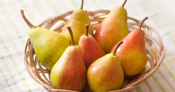 i102138-poire-nu.webp