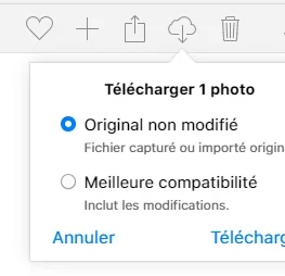Sans titre.webp Sans titre.webp