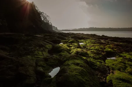 Plage du Rozais - barrage de la Rance 2 St Malo.webp