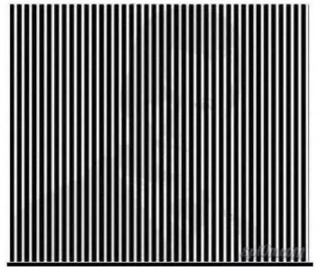 68840045_10218601858094417_4744431891199819776_n.webp