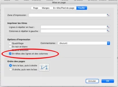 Capture d’écran.webp