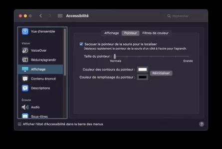 Capture-000.webp