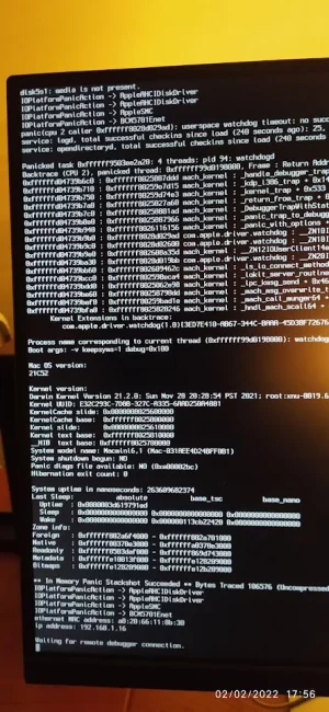 bug monterey.webp