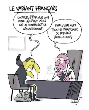  variantFrancais.webp
