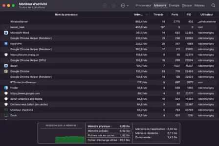 Moniteur RAM.png