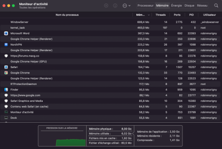 Moniteur RAM.png