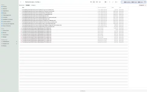 Capture d’écran 2022-02-28 à 15.29.23.png