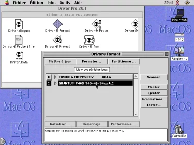 Écran 2.webp