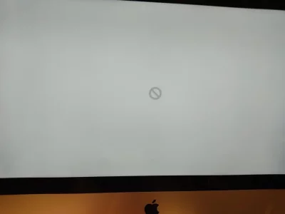 275737014_685022019204481_2535809207473524302_n.webp