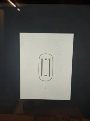 275756296_382270480390995_850222271166800376_n.webp