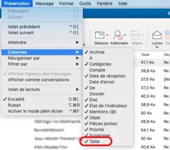 Capture d’écran.webp