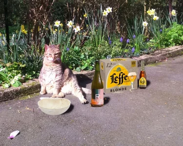 minou23b.webp