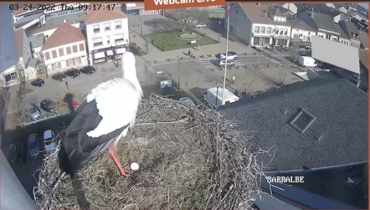 Capture d’écran 2022-03-24 à 09.18.17.webp