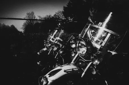 Harleys.webp