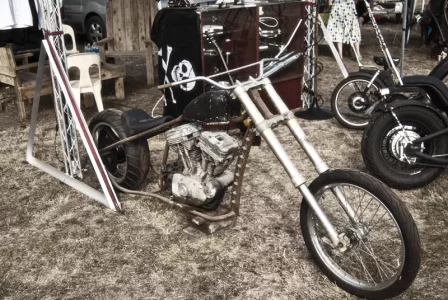 Harley.webp