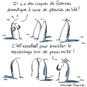 blé copie.webp