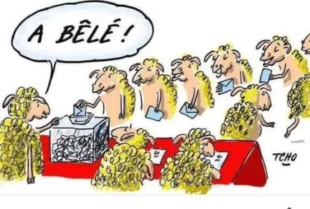 moutons copie.webp