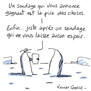 sondage copie.webp