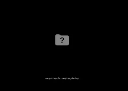 1651755645426.webp