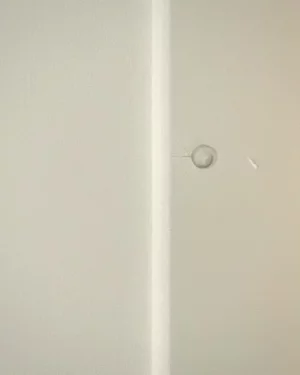 947D4668-4E9E-40C7-B9EF-708F0C8CF2E8.jpeg
