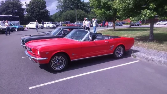 mustang.webp