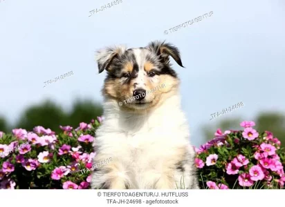 1656314210037.webp