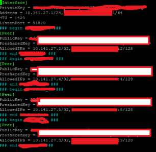 Wireguard_conf.png