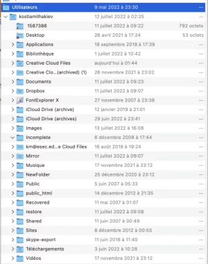 Capture d’écran 2022-07-17 à 11.49.27.webp