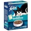 Félix.webp