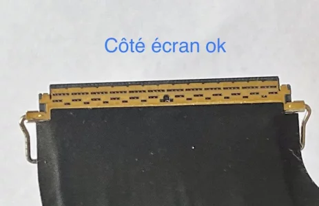 25ADF047-8AB0-4889-8EF4-FDD61C80A41A.webp