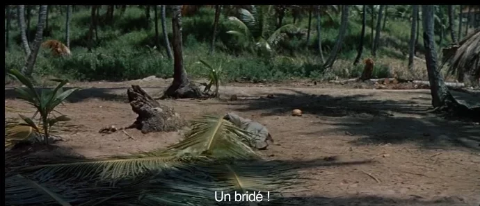 Sans titre.webp
