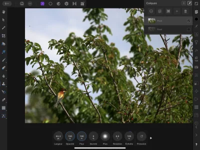 F1AB0985-A1B8-4298-9A86-5409AEA84BF2.webp