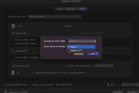 Export-ST.webp