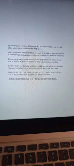 296224199_1427254001111853_360889507879777304_n.webp