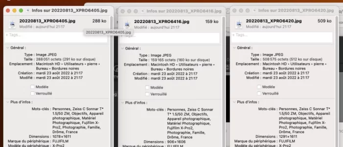 bordures.webp