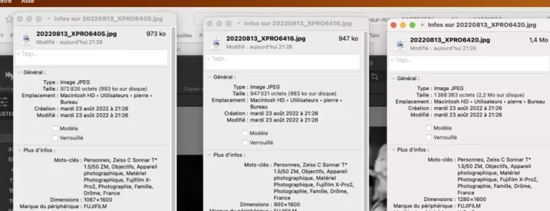 originaux.webp