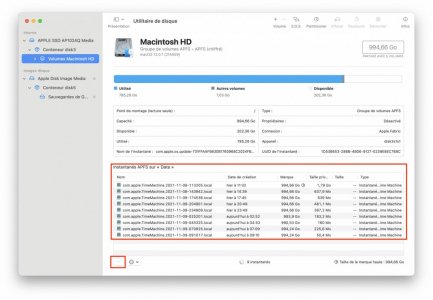 Instantané APFS.jpg