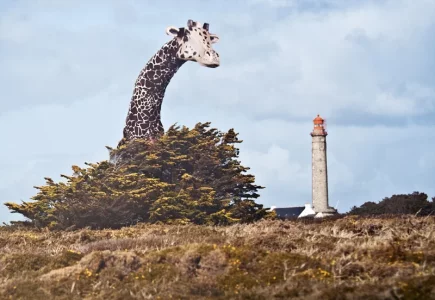 Girafe.webp