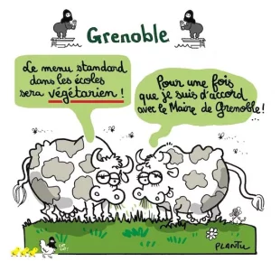 Grenoble copie.webp
