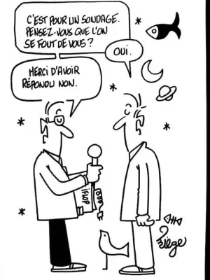 sondage.webp