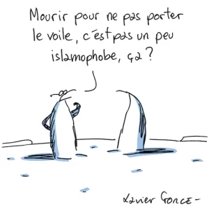 voile.webp